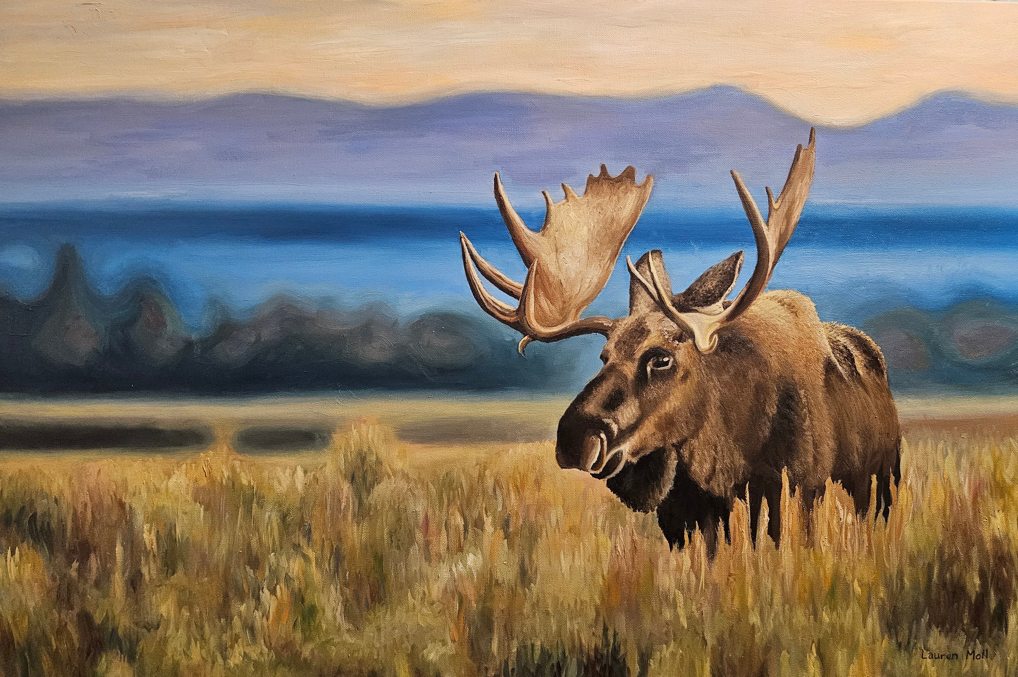 Moose at Bearlake - Oil painting